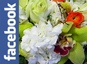 Find Metropolitan Plant and Flower Exchange on Facebook