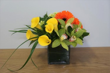 Bold Blooms from Metropolitan Plant & Flower Exchange, local NJ florist