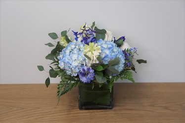 Blue Charm from Metropolitan Plant & Flower Exchange, local NJ florist