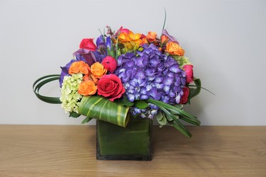 Bright Collection from Metropolitan Plant & Flower Exchange, local NJ florist