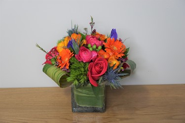 Brilliant Charm from Metropolitan Plant & Flower Exchange, local NJ florist