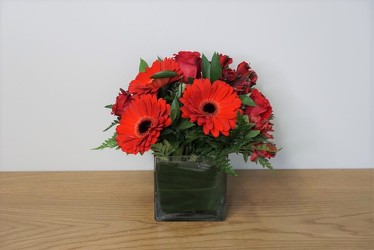 Modern Red from Metropolitan Plant & Flower Exchange, local NJ florist