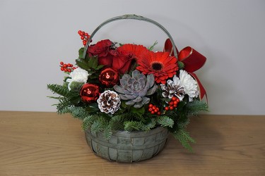 Night Before Christmas from Metropolitan Plant & Flower Exchange, local NJ florist