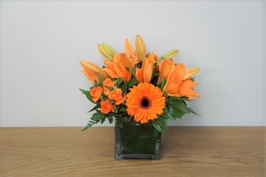 Orange Delight from Metropolitan Plant & Flower Exchange, local NJ florist