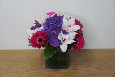 Perfect Gem from Metropolitan Plant & Flower Exchange, local NJ florist