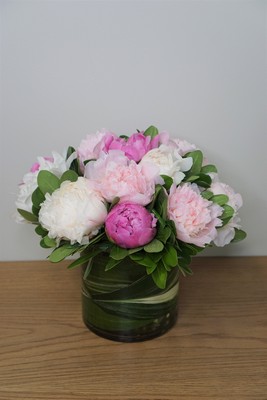 Metropolitan Plant and Flower Exchange :: Fort Lee, West Orange