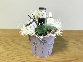 Serene Mini from Metropolitan Plant & Flower Exchange, local NJ florist