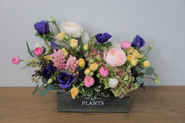 Spring Garden from Metropolitan Plant & Flower Exchange, local NJ florist