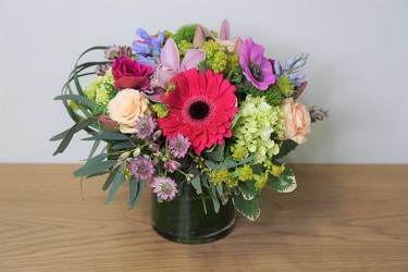 Vivid Wonder from Metropolitan Plant & Flower Exchange, local NJ florist