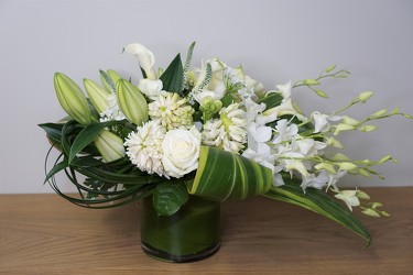 White Splendor from Metropolitan Plant & Flower Exchange, local NJ florist