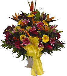 Comfort Basket from Metropolitan Plant & Flower Exchange, local NJ florist