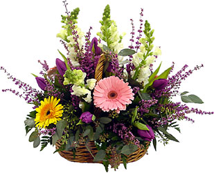 Country Basket from Metropolitan Plant & Flower Exchange, local NJ florist