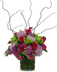 Whimsical Wonder from Metropolitan Plant & Flower Exchange, local NJ florist