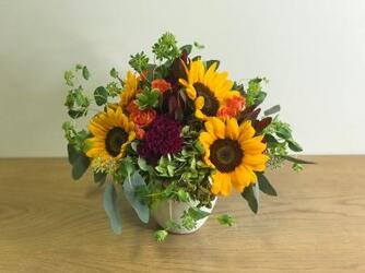 Fall Radiance from Metropolitan Plant & Flower Exchange, local NJ florist