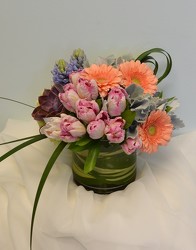 Spring Splendor from Metropolitan Plant & Flower Exchange, local NJ florist