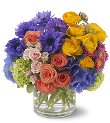 Splendid Sonnet from Metropolitan Plant & Flower Exchange, local NJ florist
