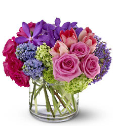 Sweet Spring from Metropolitan Plant & Flower Exchange, local NJ florist