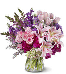 Royal Radiance from Metropolitan Plant & Flower Exchange, local NJ florist