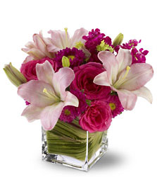 Posh Pinks from Metropolitan Plant & Flower Exchange, local NJ florist