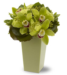 Luxurious Green from Metropolitan Plant & Flower Exchange, local NJ florist