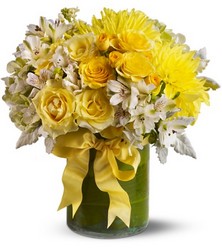 Lemon Aid from Metropolitan Plant & Flower Exchange, local NJ florist