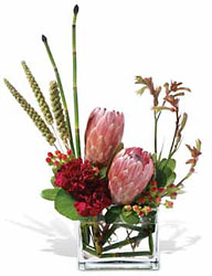 Medley Twist from Metropolitan Plant & Flower Exchange, local NJ florist