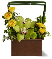 Picture Perfect from Metropolitan Plant & Flower Exchange, local NJ florist