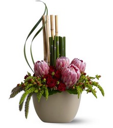 Zen Protea from Metropolitan Plant & Flower Exchange, local NJ florist
