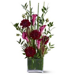 Callas in Grass from Metropolitan Plant & Flower Exchange, local NJ florist