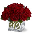 Rose Contempo