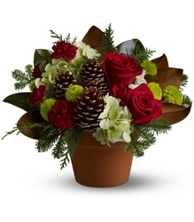 Countryside Christmas from Metropolitan Plant & Flower Exchange, local NJ florist