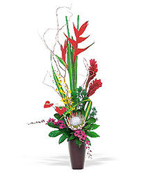 Simply Tropical from Metropolitan Plant & Flower Exchange, local NJ florist