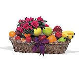 Plant & Fruit Basket from Metropolitan Plant & Flower Exchange, local NJ florist
