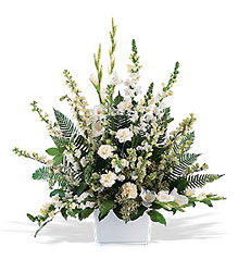 White Expressions  from Metropolitan Plant & Flower Exchange, local NJ florist