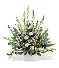 White Expressions  from Metropolitan Plant & Flower Exchange, local NJ florist