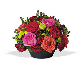 Rosy Romance from Metropolitan Plant & Flower Exchange, local NJ florist