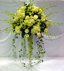  from Metropolitan Plant & Flower Exchange, local NJ florist