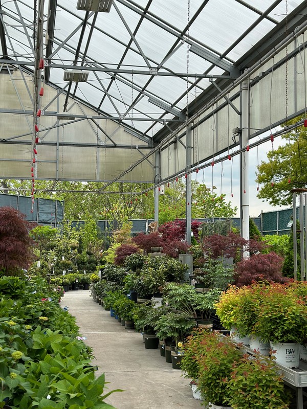 Garden Center119