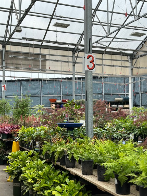 Garden Center121