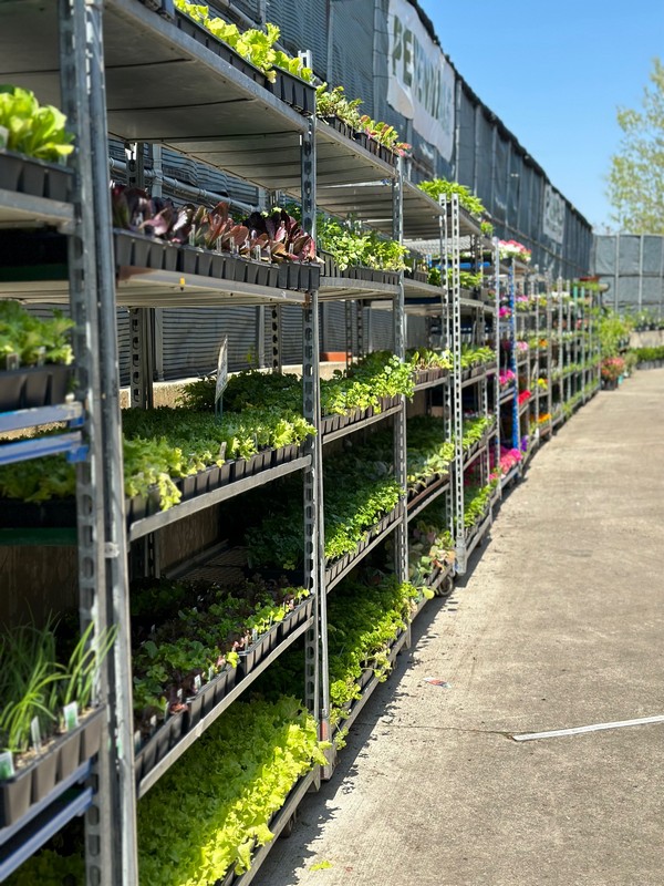 Garden Center28