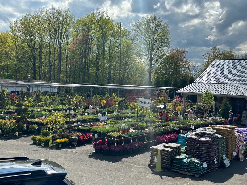 Garden Center99