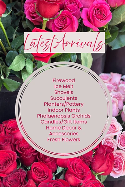 Latest Arrivals from Metropolitan Plant and Flower Exchange