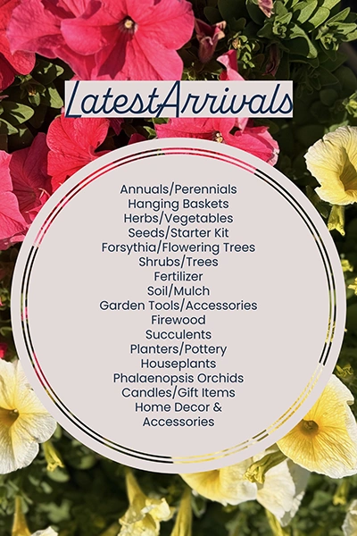 Latest Arrivals from Metropolitan Plant and Flower Exchange