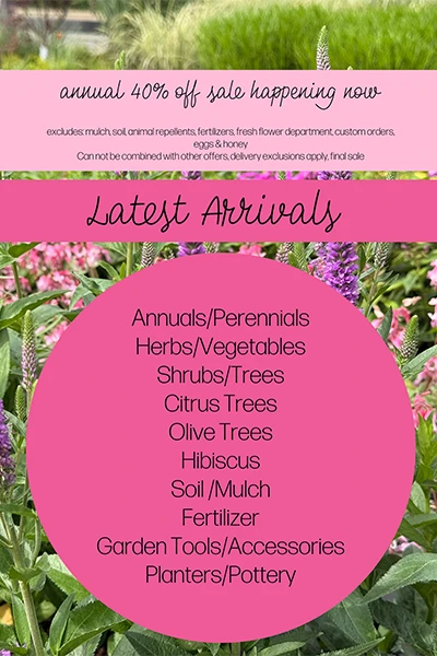 Latest Arrivals from Metropolitan Plant and Flower Exchange