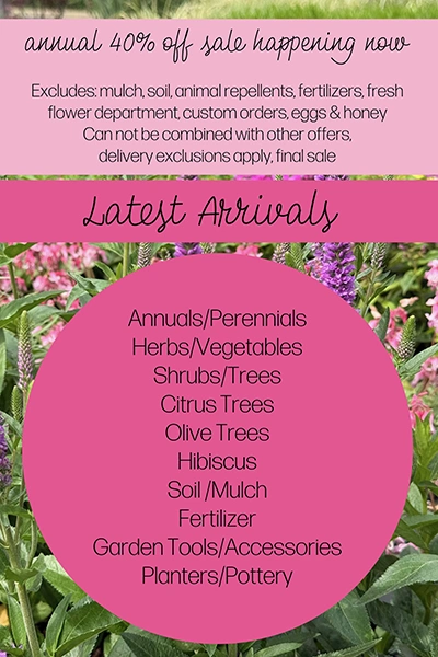 Latest Arrivals from Metropolitan Plant and Flower Exchange