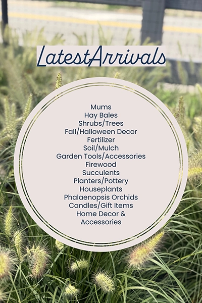 Latest Arrivals from Metropolitan Plant and Flower Exchange
