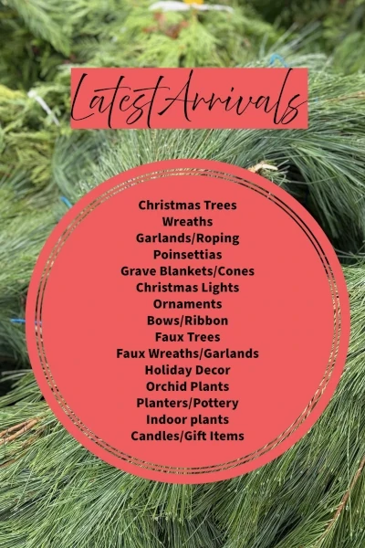 Latest Arrivals from Metropolitan Plant and Flower Exchange