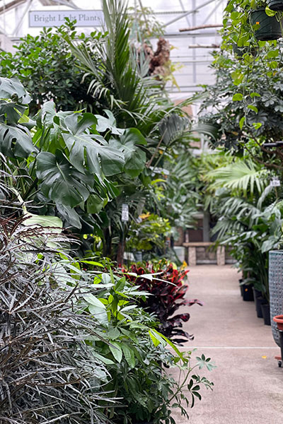 Metropolitan Plant and Flower Exchange :: Fort Lee, West Orange ...