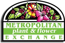 Metropolitan Plant and Flowever Exchange, delivering flowers from three locations in New Jersey