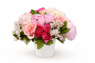 Pink Sugar from Metropolitan Plant & Flower Exchange, local NJ florist